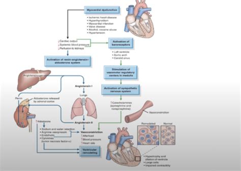 Adult Health Exam Management Of Patients With Complications Of