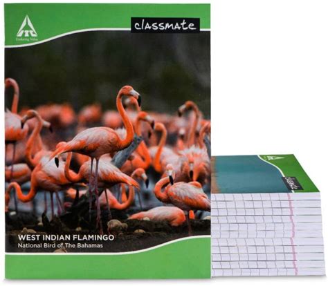 Classmate Notebook Regular Notebook Single Line 172 Pages Price In India Buy Classmate