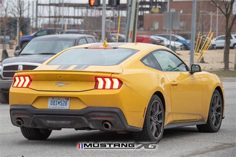 Official Yellow Splash Mustang S Thread Page Mustang G