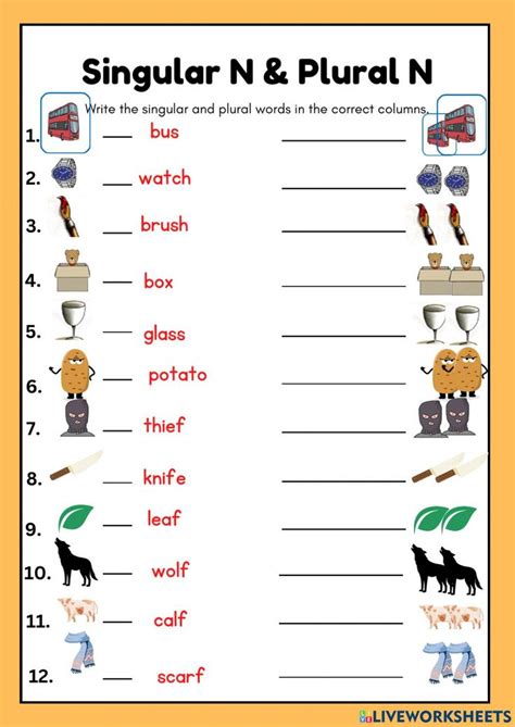 Plural Nouns Es Ves Worksheet Plurals Plurals Worksheets Nouns