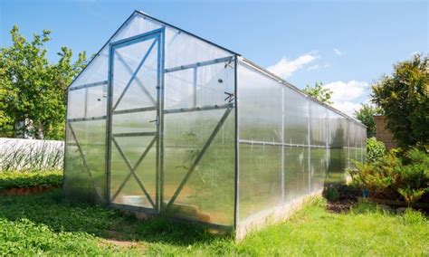 Twin Wall Polycarbonate Greenhouse Panels - Wall Design Ideas