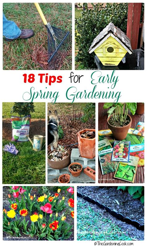 Early Spring Garden Projects