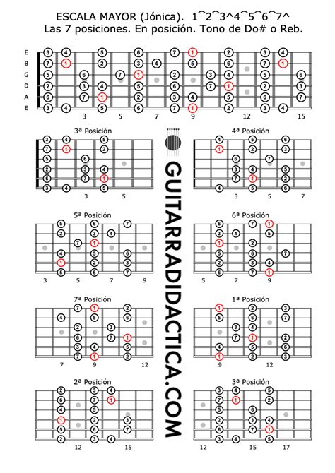 Escala Mayor En Posición Tono De Do O Reb C O Db Guitarra Didáctica