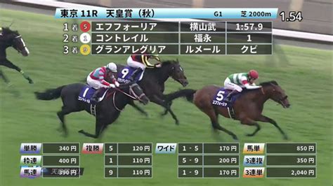 【1031 天皇賞・秋ほか】東京ダイジェストjraレース結果 競馬予想動画