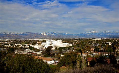 Los Angeles Times Features Life In Loma Linda News Of The Week