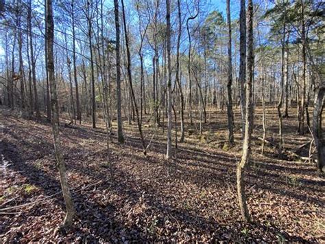 Alabama Land For Sale Page 3 Of 85 Landflip