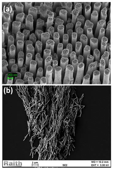 Coatings Free Full Text Synthesis And Characterization Of Gold