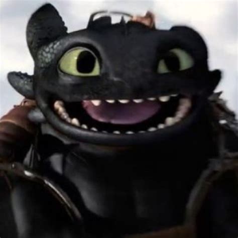 Night Fury Toothless Smile