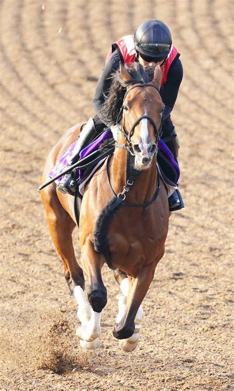 【宝塚記念2週前追い】アスクビクターモア 弾む脚さばき、田村師「きっちりと仕上げていきたい」― スポニチ Sponichi Annex ギャンブル