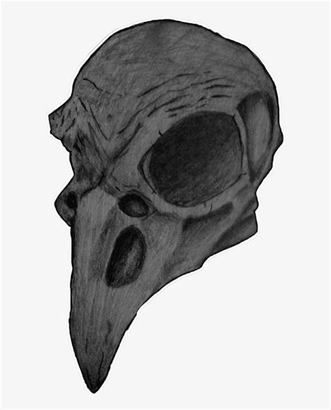 Bird Skull Png 848x942 Png Download Pngkit