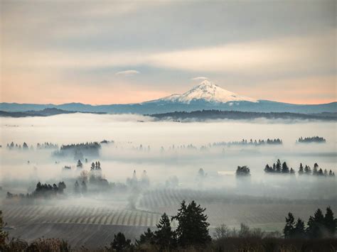 What You Need To Know About Willamette Valley Weather And Planning Your Trip | Youngberg Hill ...