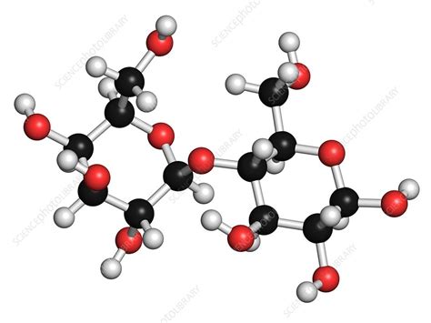 Lactose 3d Molecule