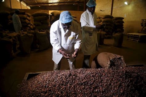 Cocoa Processing Ghana Cocoa Processing Pdf Kellydli