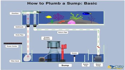 How To Pump Water From Aquarium To Sump A Comprehensive Guide