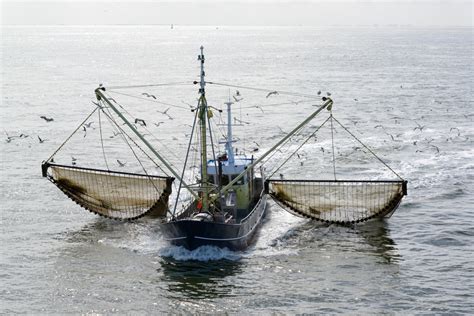 Bottom Trawling Banned In Four Offshore Marine Protected Areas And