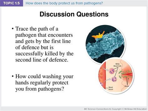 Bc Science Connections 8 Ppt Download