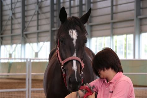 ロンギングアリーナ Thanks Horse Platform（サンクスホースプラットフォーム）