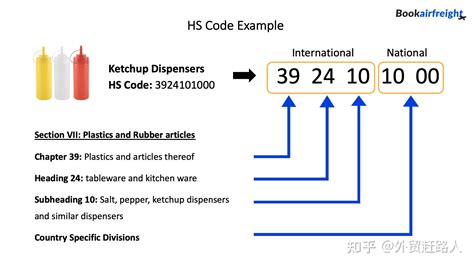 HS Code海关编码是什么意思有什么作用HS Code的前6位和后4位分别代表什么 知乎