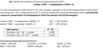 Answered A Consider The Oxidation Of Malate To Oxaloacetate By Nad