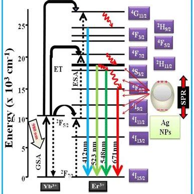 Simplified Energy Level Diagram Of Er Yb Ions Embedded With Ag Np