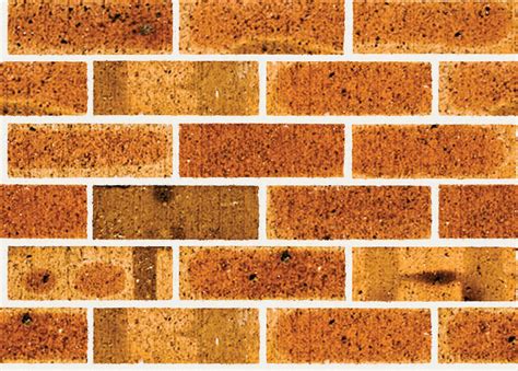 Homestead Bricks Austral Bricks Australias Largest Suppliers