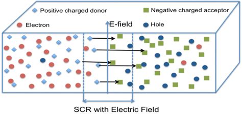 P N Junction And Space Charge Region The Light Blue Shapes Are