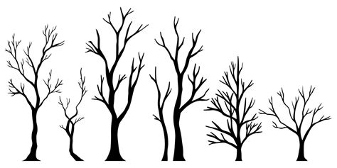 Set Of Hand Drawn Vector Doodle Naked Trees Silhouettes Sketch