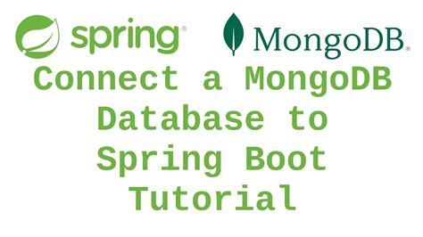 Connect A Mongodb Database To Spring Boot Tutorial Youtube