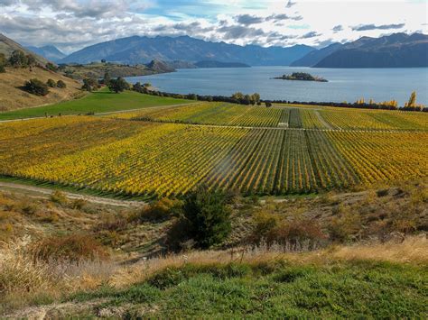 Central Otago In Autumn Tour South Island Nz