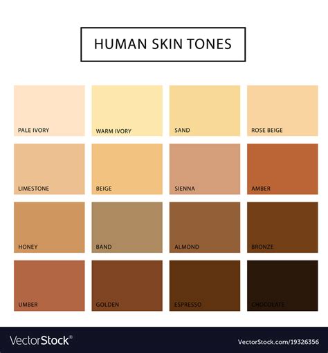 Human Skin Tone Chart