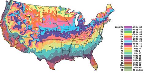 Map Of Planting Zones In United States - Printable Map