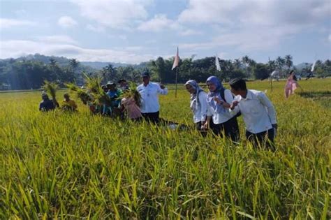 Perkuat Ketahanan Pangan Dinas Pertanian Gunungkidul Dorong