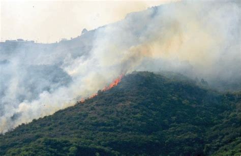 Senate Body Asks Cda Iwmb To Jointly Check Fires On Margalla Hills