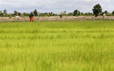 Apt Asean Plus Three Leaders Statement On Food Security Cooperation