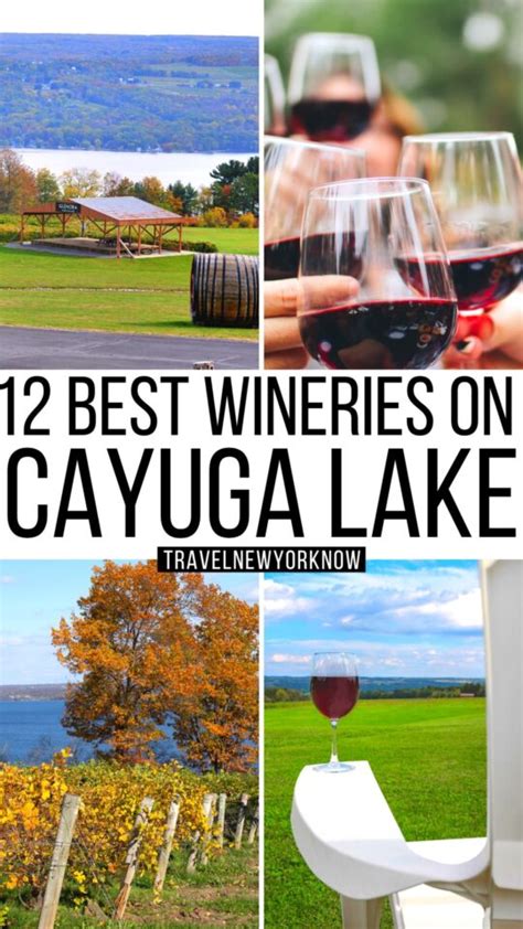 12 Best Cayuga Lake Wineries 2023 + Amazing Local Tips