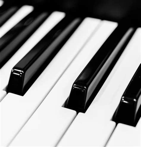 Teclas De Piano Blanco Y Negro Foto De Stock Vkraskouski 3848958