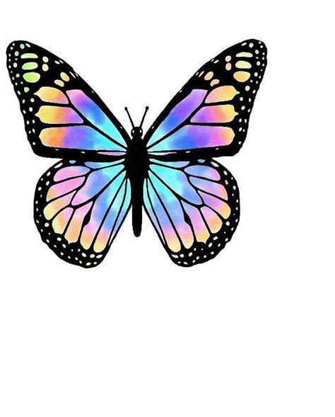 Tie Dye Butterfly By Positivityonly Redbubble Butterfly Drawing