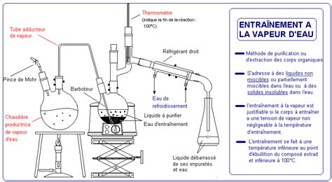 Entra Nement A La Vapeur D Eau