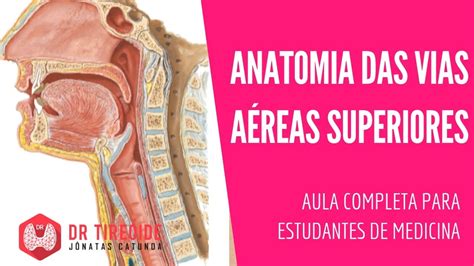 Vias Aereas Superiores Anatomia LIBRAIN