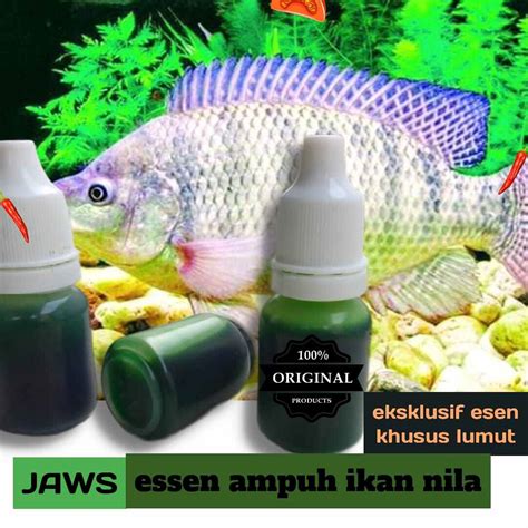 RG Essen Gacor Ikan Nila JAWS Spesial Lumut Musim Panas Dan Hujan