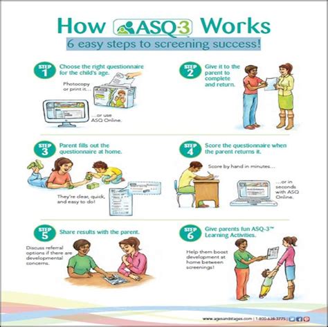 How Asq 3 Works Six Easy Steps To Screening Success Illustrated In This