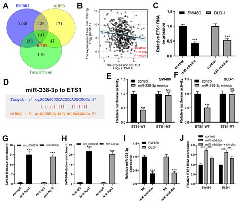 CircRNA RNA Hsa Circ 0008234 Promotes Colon Cancer Progression By