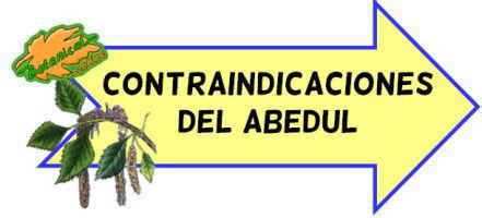 Toxicidad Del Abedul Botanical Online