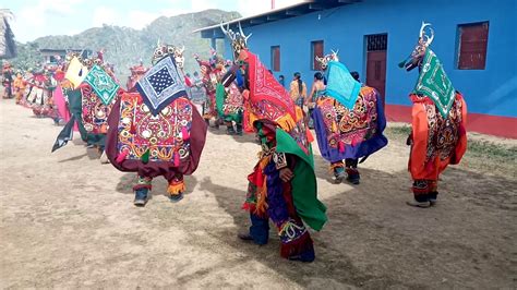 BAILE DE VENADO EN LA CAOBA PETEN GUATEMALA YouTube