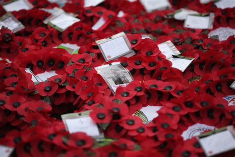 Remembrance Day 2020: date, when people start wearing poppy badges - and meaning of the red ...