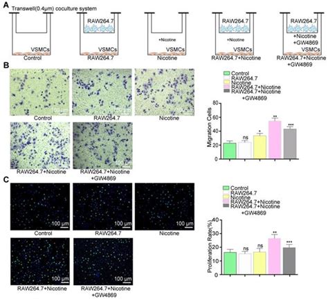 Exosomes From Nicotine Stimulated Macrophages Accelerate