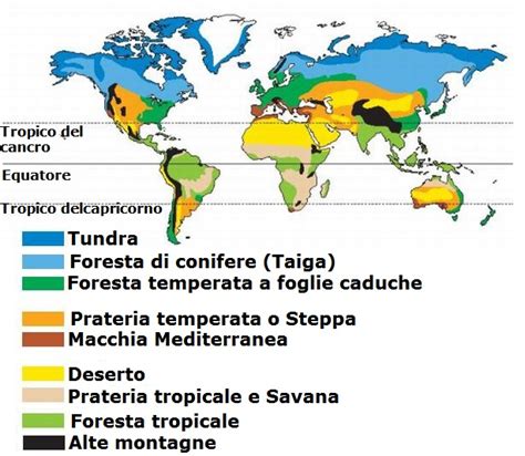 Biomi Cliccascienze