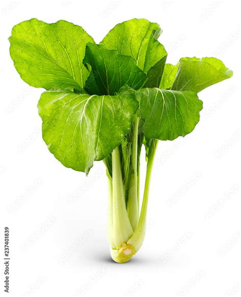 Vegetables edible leaves named '' Brede '' very popular in meal in ...