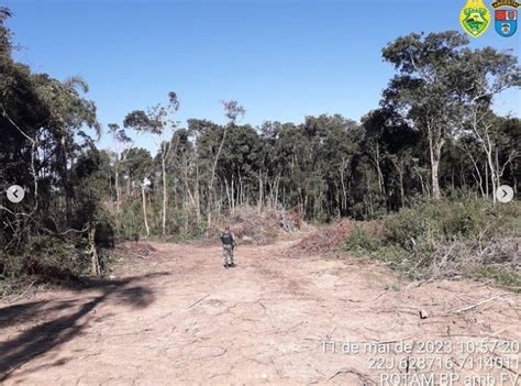 Propriedade Rural De Rio Negro Multada Em R Mil Por Corte De