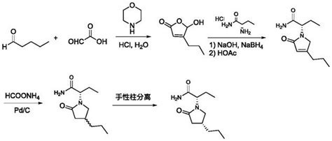 一种Baeyer Villiger单加氧酶及其在布立西坦合成中的应用的制作方法